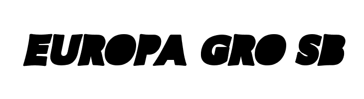 SPIDERWEB ITALIC PERSONAL USE Bold Italic  Free Fonts Download