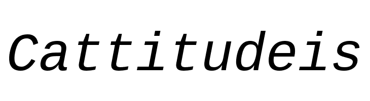 Liberation Mono Italic  Free Fonts Download