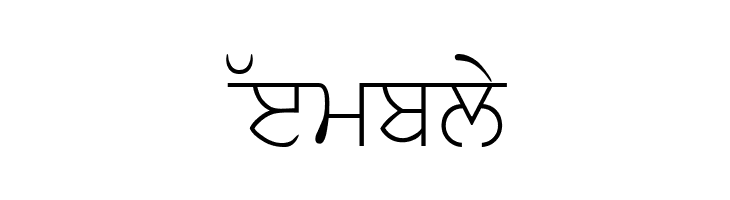 SamtolSlim  Free Fonts Download