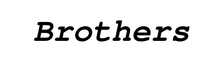 TeXGyreCursor-BoldItalic  Free Fonts Download