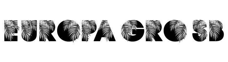 PALMSPRINGS PERSONAL USE Regular  Free Fonts Download