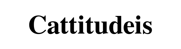 FreeSerif Bold  Free Fonts Download