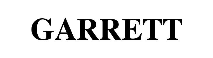 FreeSerif Bold  Free Fonts Download