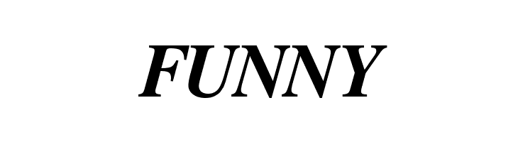 FreeSerif Bold Italic  Free Fonts Download