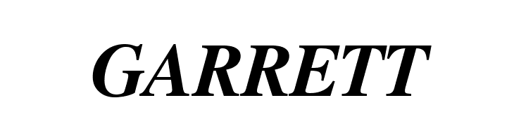 FreeSerif Bold Italic  Free Fonts Download