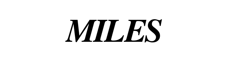 FreeSerif Bold Italic  Free Fonts Download