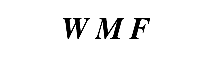 FreeSerif Bold Italic  Free Fonts Download