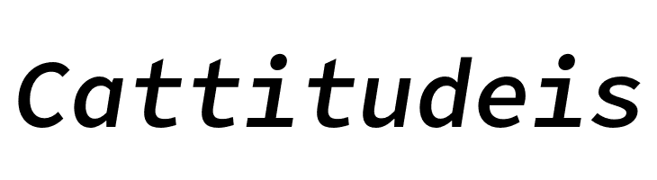 Office Code Pro Medium Italic  Free Fonts Download