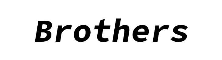 Office Code Pro Bold Italic  Free Fonts Download