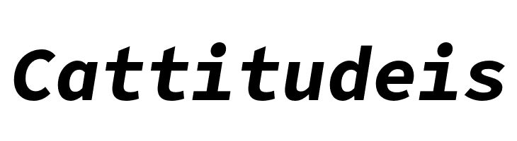 Office Code Pro Bold Italic  Free Fonts Download