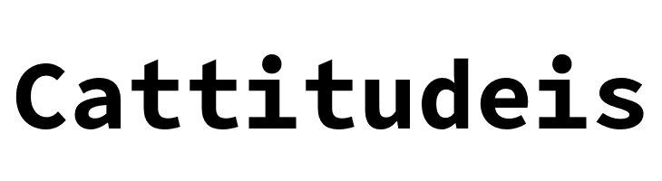 Office Code Pro Bold  Free Fonts Download