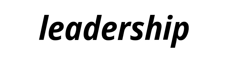 Noto Sans SemiCondensed Bold Italic  Free Fonts Download