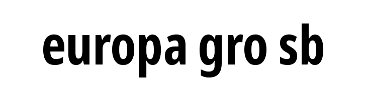 Noto Sans ExtraCondensed Bold  Free Fonts Download