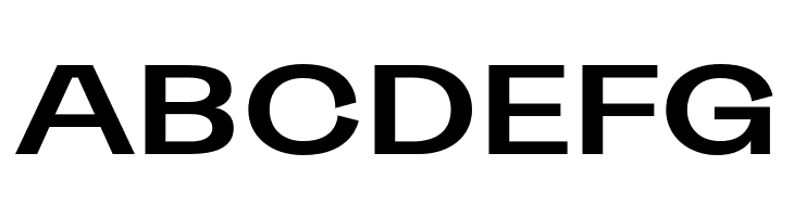 Sporting Grotesque Bold  Free Fonts Download