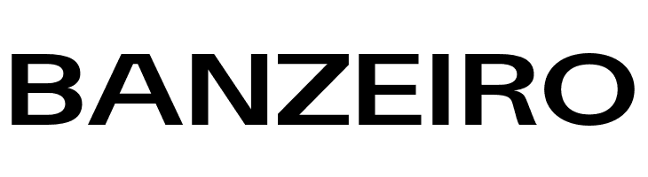 Sporting Grotesque Bold  Free Fonts Download