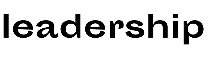 Sporting Grotesque Bold  Free Fonts Download