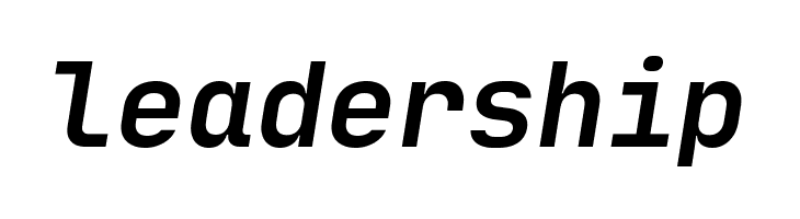 JetBrains Mono Bold Italic  Free Fonts Download