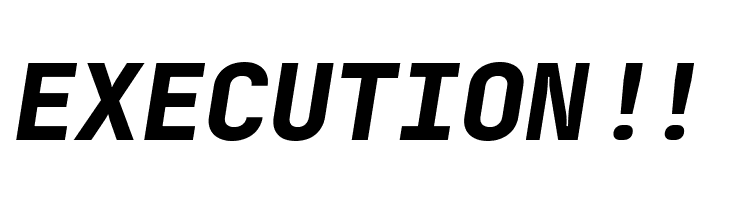 JetBrains Mono ExtBd Ita  Free Fonts Download