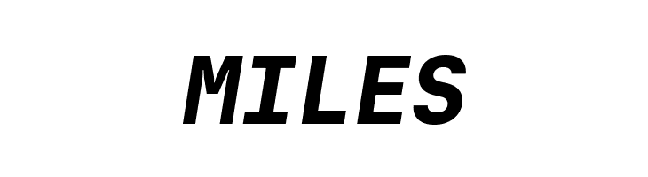 JetBrains Mono ExtBd Ita  Free Fonts Download