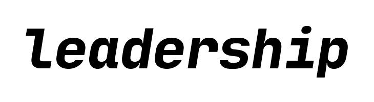 JetBrains Mono ExtBd Ita  Free Fonts Download