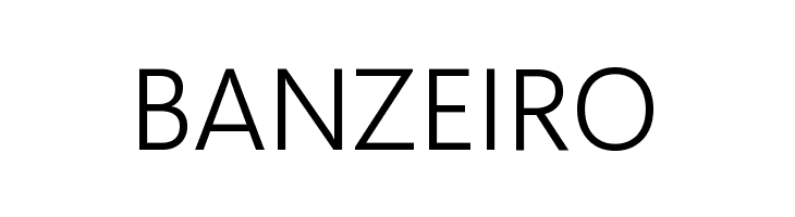 Selawik Semilight  Free Fonts Download