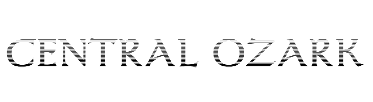 Dumbledor 1 Cut Down  Free Fonts Download