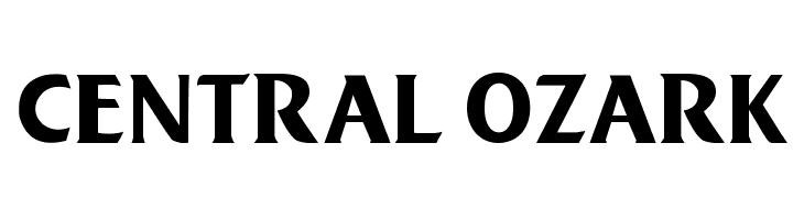 Big Bad Wolf  Free Fonts Download