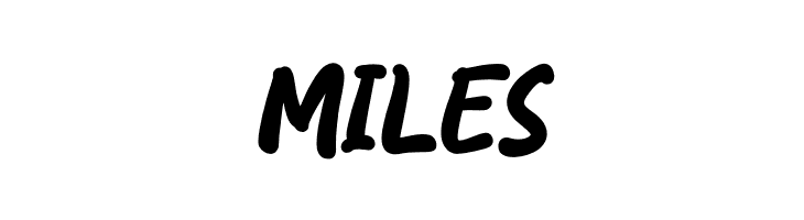 Nasi Goreng  Free Fonts Download