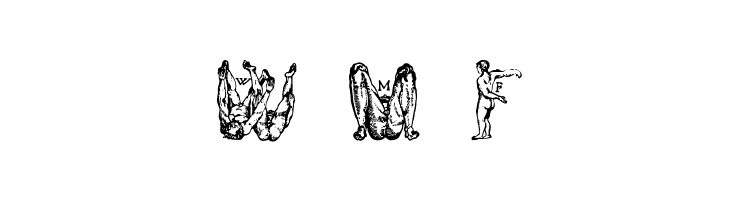 MenschenalphabetPeterFloetner1534  Free Fonts Download