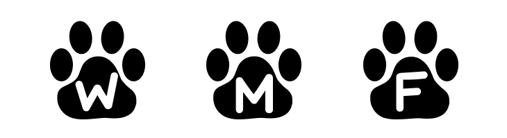 Kitty Paw Demo  Free Fonts Download