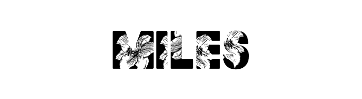 FLORALPERSONALUSE-Bold  Free Fonts Download