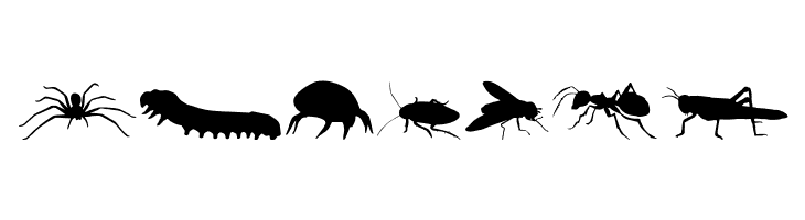 Creepy Crawlies  Free Fonts Download