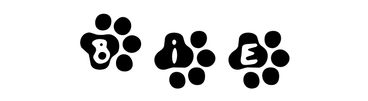 Catwalk  Free Fonts Download