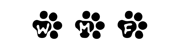 Catwalk  Free Fonts Download