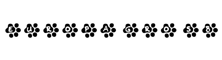 Catwalk  Free Fonts Download