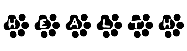 Catwalk  Free Fonts Download