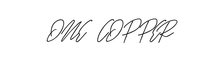 Raghen Script Regular  Free Fonts Download