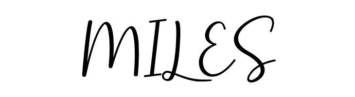 Selly Calligraphy  Free Fonts Download