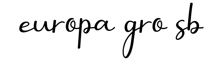 Selly Calligraphy  Free Fonts Download