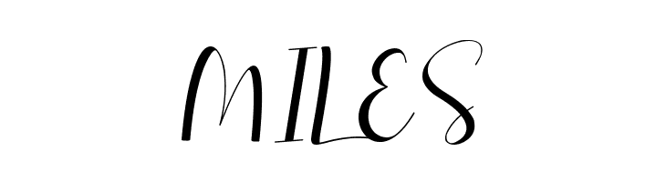 Selitta  Free Fonts Download