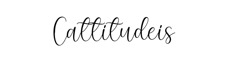 Pinky Budy  Free Fonts Download