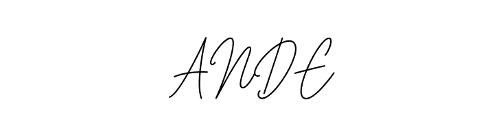 House Signature Script  Free Fonts Download