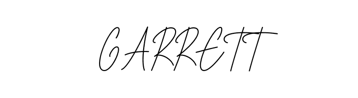 House Signature Script  Free Fonts Download