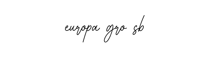 House Signature Script  Free Fonts Download