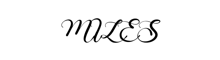 Magnefida  Free Fonts Download