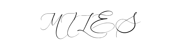 Aleanderica  Free Fonts Download