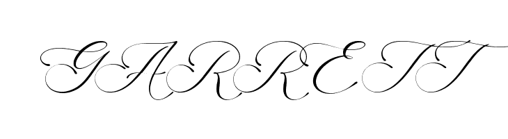 America Calligraphy  Free Fonts Download