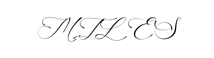 America Calligraphy  Free Fonts Download