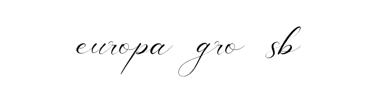 America Calligraphy  Free Fonts Download