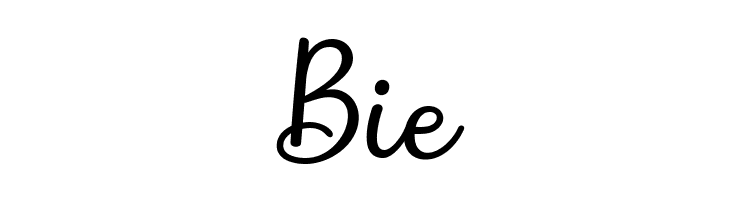 Shakila Script Regular  Free Fonts Download